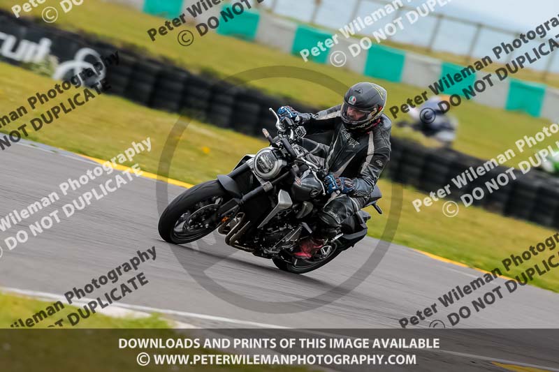 PJ Motorsport 2019;anglesey no limits trackday;anglesey photographs;anglesey trackday photographs;enduro digital images;event digital images;eventdigitalimages;no limits trackdays;peter wileman photography;racing digital images;trac mon;trackday digital images;trackday photos;ty croes